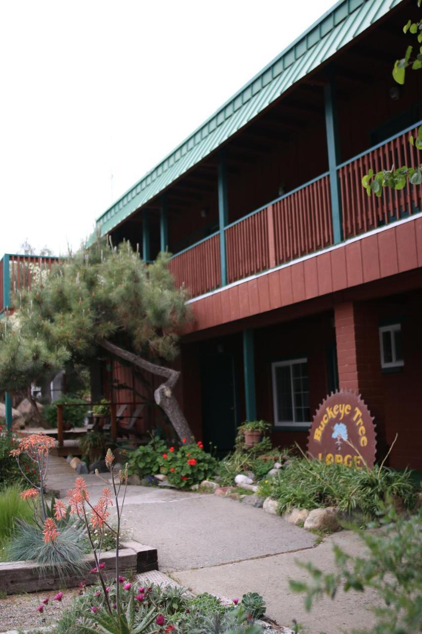 Buckeye Tree Lodge Three Rivers Exterior foto